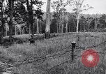 Image Jungle Warfare Training Canungra Australie, 1943, de la seconde 28 séquences d'archives historiques vidéo 65675038652