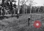 Image Jungle Warfare Training Canungra Australie, 1943, de la seconde 29 séquences d'archives historiques vidéo 65675038652