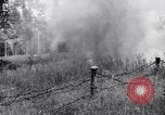 Image Jungle Warfare Training Canungra Australie, 1943, de la seconde 31 séquences d'archives historiques vidéo 65675038652