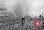Image Jungle Warfare Training Canungra Australie, 1943, de la seconde 32 séquences d'archives historiques vidéo 65675038652