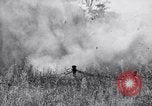 Image Jungle Warfare Training Canungra Australie, 1943, de la seconde 35 séquences d'archives historiques vidéo 65675038652