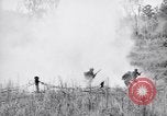 Image Jungle Warfare Training Canungra Australie, 1943, de la seconde 40 séquences d'archives historiques vidéo 65675038652