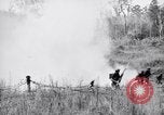 Image Jungle Warfare Training Canungra Australie, 1943, de la seconde 41 séquences d'archives historiques vidéo 65675038652