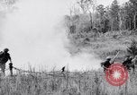 Image Jungle Warfare Training Canungra Australie, 1943, de la seconde 42 séquences d'archives historiques vidéo 65675038652