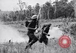 Image Jungle Warfare Training Canungra Australie, 1943, de la seconde 45 séquences d'archives historiques vidéo 65675038652
