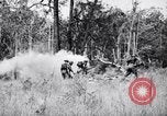 Image Jungle Warfare Training Canungra Australie, 1943, de la seconde 50 séquences d'archives historiques vidéo 65675038652