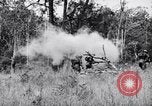 Image Jungle Warfare Training Canungra Australie, 1943, de la seconde 51 séquences d'archives historiques vidéo 65675038652