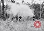 Image Jungle Warfare Training Canungra Australie, 1943, de la seconde 52 séquences d'archives historiques vidéo 65675038652