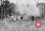 Image Jungle Warfare Training Canungra Australie, 1943, de la seconde 53 séquences d'archives historiques vidéo 65675038652