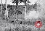 Image Jungle Warfare Training Canungra Australie, 1943, de la seconde 54 séquences d'archives historiques vidéo 65675038652