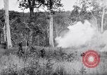 Image Jungle Warfare Training Canungra Australie, 1943, de la seconde 55 séquences d'archives historiques vidéo 65675038652