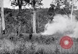 Image Jungle Warfare Training Canungra Australie, 1943, de la seconde 56 séquences d'archives historiques vidéo 65675038652