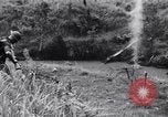 Image Jungle Warfare Training Canungra Australie, 1943, de la seconde 59 séquences d'archives historiques vidéo 65675038652