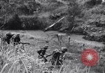 Image Jungle Warfare Training Canungra Australie, 1943, de la seconde 62 séquences d'archives historiques vidéo 65675038652