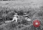 Immagine di Addestramento di Guerra nella Giungla Canungra Australia, 1943, secondo 3 filmato di repertorio 65675038653