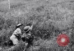 Immagine di Addestramento di Guerra nella Giungla Canungra Australia, 1943, secondo 7 filmato di repertorio 65675038653