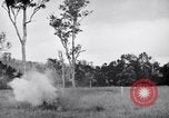 Immagine di Addestramento di Guerra nella Giungla Canungra Australia, 1943, secondo 9 filmato di repertorio 65675038653