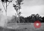 Immagine di Addestramento di Guerra nella Giungla Canungra Australia, 1943, secondo 10 filmato di repertorio 65675038653