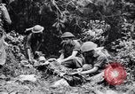 Immagine di Addestramento di Guerra nella Giungla Canungra Australia, 1943, secondo 11 filmato di repertorio 65675038653