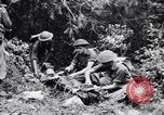 Immagine di Addestramento di Guerra nella Giungla Canungra Australia, 1943, secondo 12 filmato di repertorio 65675038653