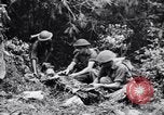 Immagine di Addestramento di Guerra nella Giungla Canungra Australia, 1943, secondo 13 filmato di repertorio 65675038653