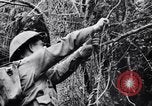 Immagine di Addestramento di Guerra nella Giungla Canungra Australia, 1943, secondo 14 filmato di repertorio 65675038653