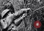 Immagine di Addestramento di Guerra nella Giungla Canungra Australia, 1943, secondo 15 filmato di repertorio 65675038653