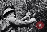Immagine di Addestramento di Guerra nella Giungla Canungra Australia, 1943, secondo 16 filmato di repertorio 65675038653