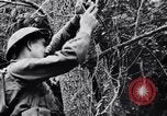 Immagine di Addestramento di Guerra nella Giungla Canungra Australia, 1943, secondo 17 filmato di repertorio 65675038653