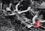 Immagine di Addestramento di Guerra nella Giungla Canungra Australia, 1943, secondo 18 filmato di repertorio 65675038653
