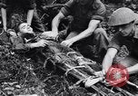 Immagine di Addestramento di Guerra nella Giungla Canungra Australia, 1943, secondo 20 filmato di repertorio 65675038653
