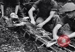 Immagine di Addestramento di Guerra nella Giungla Canungra Australia, 1943, secondo 21 filmato di repertorio 65675038653