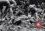 Immagine di Addestramento di Guerra nella Giungla Canungra Australia, 1943, secondo 22 filmato di repertorio 65675038653