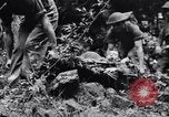 Immagine di Addestramento di Guerra nella Giungla Canungra Australia, 1943, secondo 23 filmato di repertorio 65675038653