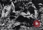 Immagine di Addestramento di Guerra nella Giungla Canungra Australia, 1943, secondo 24 filmato di repertorio 65675038653