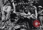 Immagine di Addestramento di Guerra nella Giungla Canungra Australia, 1943, secondo 25 filmato di repertorio 65675038653