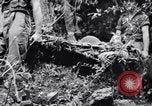 Immagine di Addestramento di Guerra nella Giungla Canungra Australia, 1943, secondo 29 filmato di repertorio 65675038653