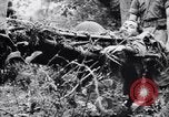 Immagine di Addestramento di Guerra nella Giungla Canungra Australia, 1943, secondo 33 filmato di repertorio 65675038653