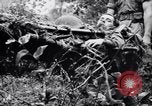 Immagine di Addestramento di Guerra nella Giungla Canungra Australia, 1943, secondo 34 filmato di repertorio 65675038653