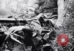 Immagine di Addestramento di Guerra nella Giungla Canungra Australia, 1943, secondo 37 filmato di repertorio 65675038653