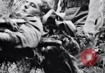 Immagine di Addestramento di Guerra nella Giungla Canungra Australia, 1943, secondo 39 filmato di repertorio 65675038653