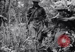 Immagine di Addestramento di Guerra nella Giungla Canungra Australia, 1943, secondo 41 filmato di repertorio 65675038653
