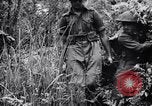 Immagine di Addestramento di Guerra nella Giungla Canungra Australia, 1943, secondo 43 filmato di repertorio 65675038653