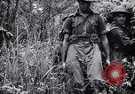 Immagine di Addestramento di Guerra nella Giungla Canungra Australia, 1943, secondo 44 filmato di repertorio 65675038653