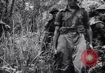 Immagine di Addestramento di Guerra nella Giungla Canungra Australia, 1943, secondo 45 filmato di repertorio 65675038653