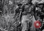 Immagine di Addestramento di Guerra nella Giungla Canungra Australia, 1943, secondo 46 filmato di repertorio 65675038653