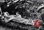 Immagine di Addestramento di Guerra nella Giungla Canungra Australia, 1943, secondo 54 filmato di repertorio 65675038653