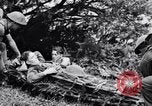 Immagine di Addestramento di Guerra nella Giungla Canungra Australia, 1943, secondo 56 filmato di repertorio 65675038653
