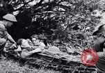 Immagine di Addestramento di Guerra nella Giungla Canungra Australia, 1943, secondo 57 filmato di repertorio 65675038653