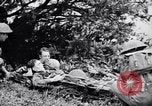 Immagine di Addestramento di Guerra nella Giungla Canungra Australia, 1943, secondo 60 filmato di repertorio 65675038653